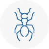 Ant Removals In Westhoughton