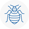 Bed Bug Extermination In Westhoughton