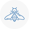 Bee Nest Removal Westhoughton