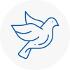 Bird Prevention Westhoughton