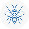 Westhoughton Hornet Nest Removals