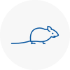 Mice Exterminators In Westhoughton