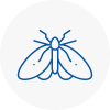 Moth Control Specialists In Westhoughton