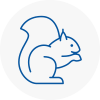 Westhoughton Rodent Removals